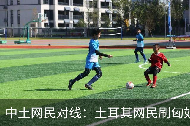 中土网民对线：土耳其网民刷匈奴突厥，中国网民甩出基因报告。