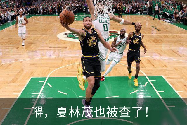 嘚，夏林茂也被查了！