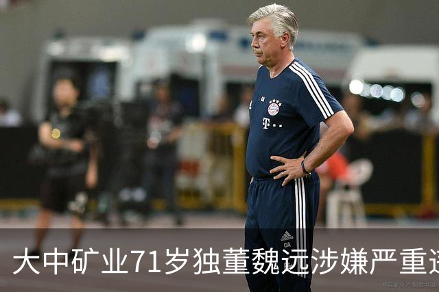大中矿业71岁独董魏远涉嫌严重违纪违法，接受纪律审查和监察调查