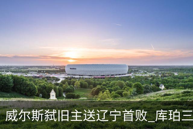 威尔斯弑旧主送辽宁首败 库珀三分7中1无力回天