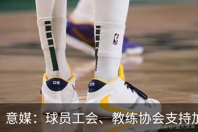 意媒：球员工会、教练协会支持加利亚尼竞选足协主席