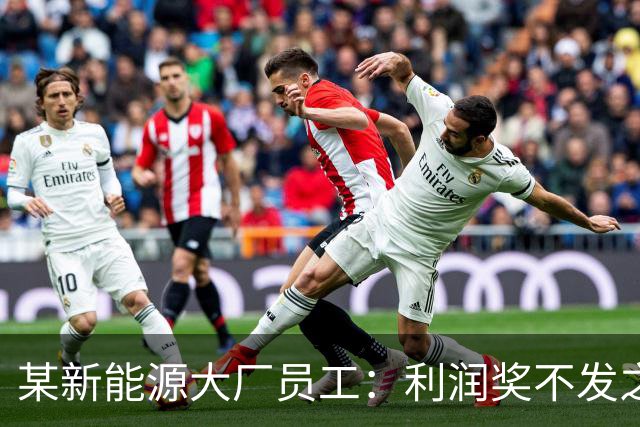 某新能源大厂员工：利润奖不发之后，确诊抑郁了