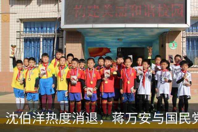 沈伯洋热度消退，蒋万安与国民党已全面反攻，赵少康要将功赎罪？