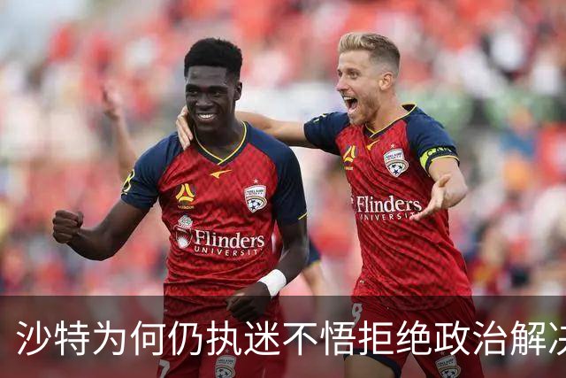 沙特为何仍执迷不悟拒绝政治解决也门危机