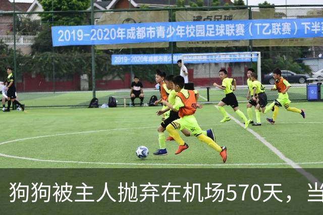 狗狗被主人抛弃在机场570天，当主人回来接它时，看哭了所有人