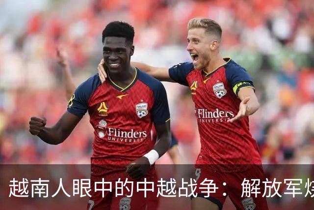 越南人眼中的中越战争：解放军烧杀抢掠，什么都要，真相究竟如何？