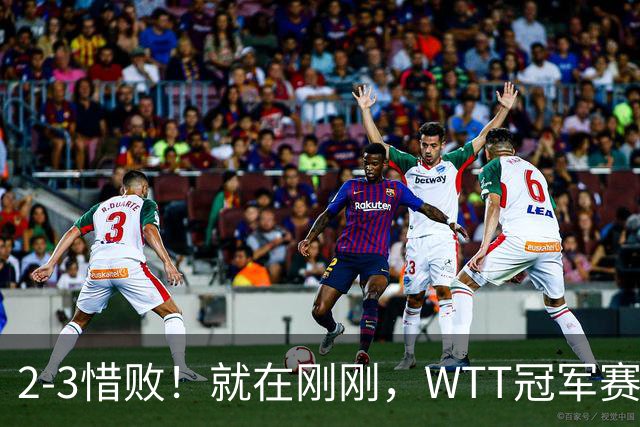 2-3惜败！就在刚刚，WTT冠军赛爆大冷：世界第39老将被打哭！30岁梁靖崑绝处逢生让二追三，赛后日媒犀利锐评，难怪张本智和会输